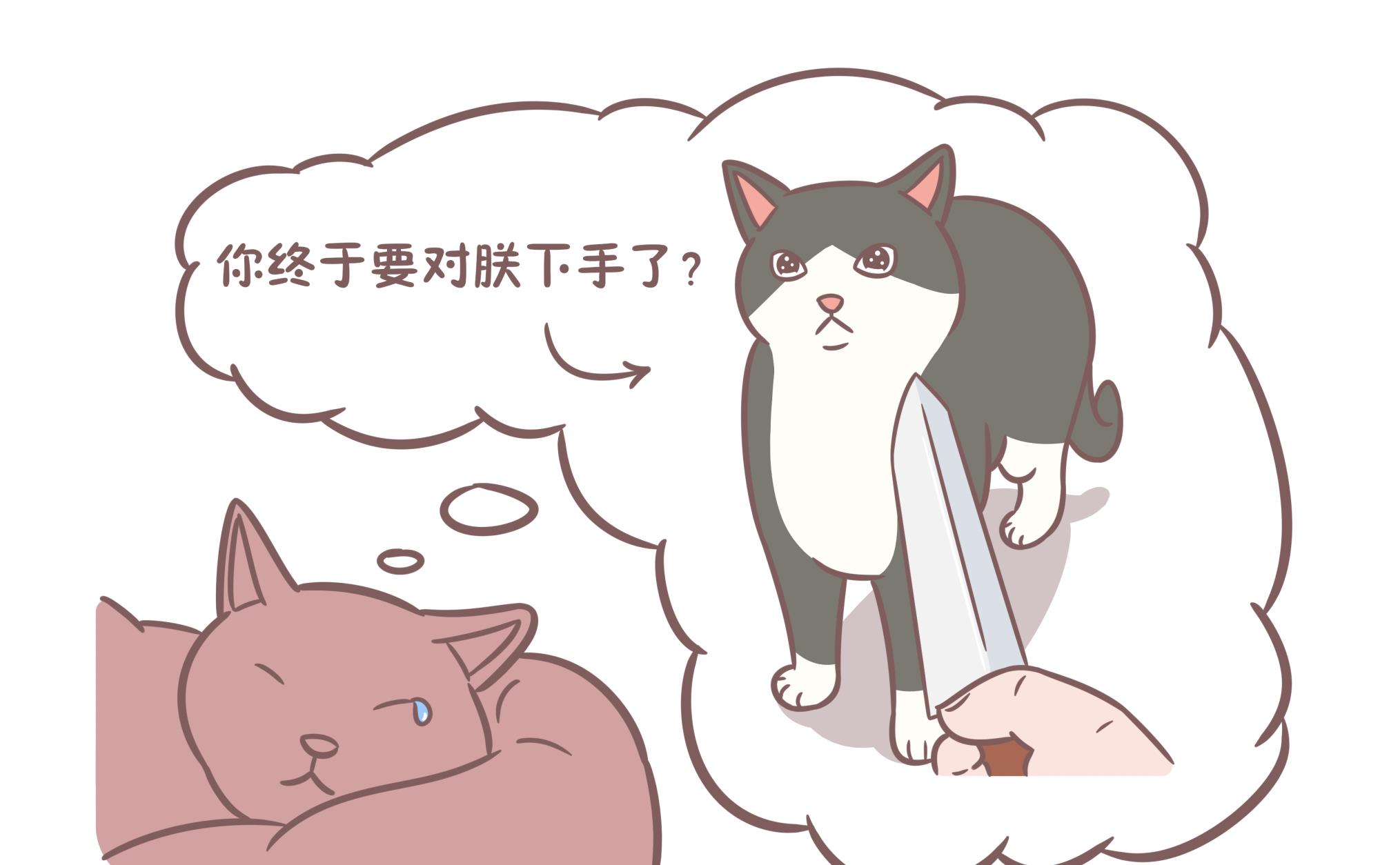 梦境密码，又做梦梦到一只猫缠着我打都打不死是什么意思？