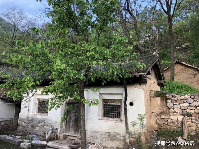 房东北方向有大榕树好不好