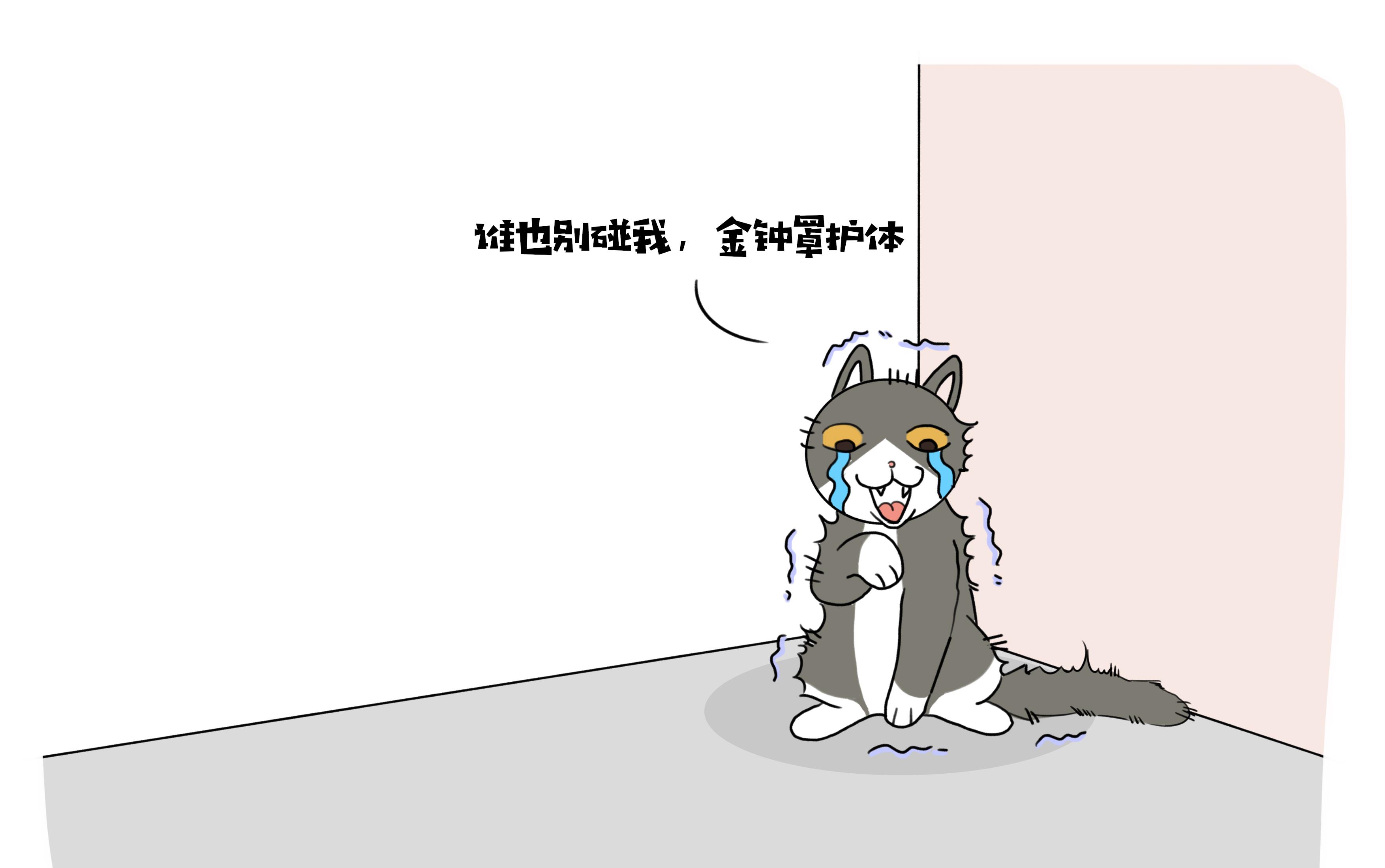 fd5485b346f84f49aed537259153fb88.jpeg