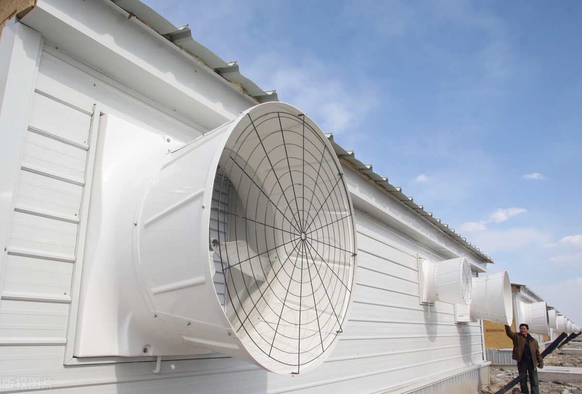 猪舍通风研究指出,环境对畜禽生产力的贡献率可达30%-40%.