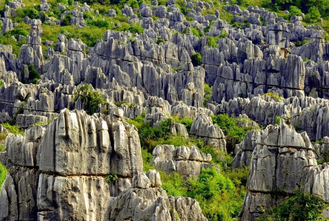 所有人答题赢景区门票开启南方喀斯特探秘之旅