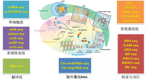 生物科研服务发展 8132489d500c4b958c09f0608547970c.png