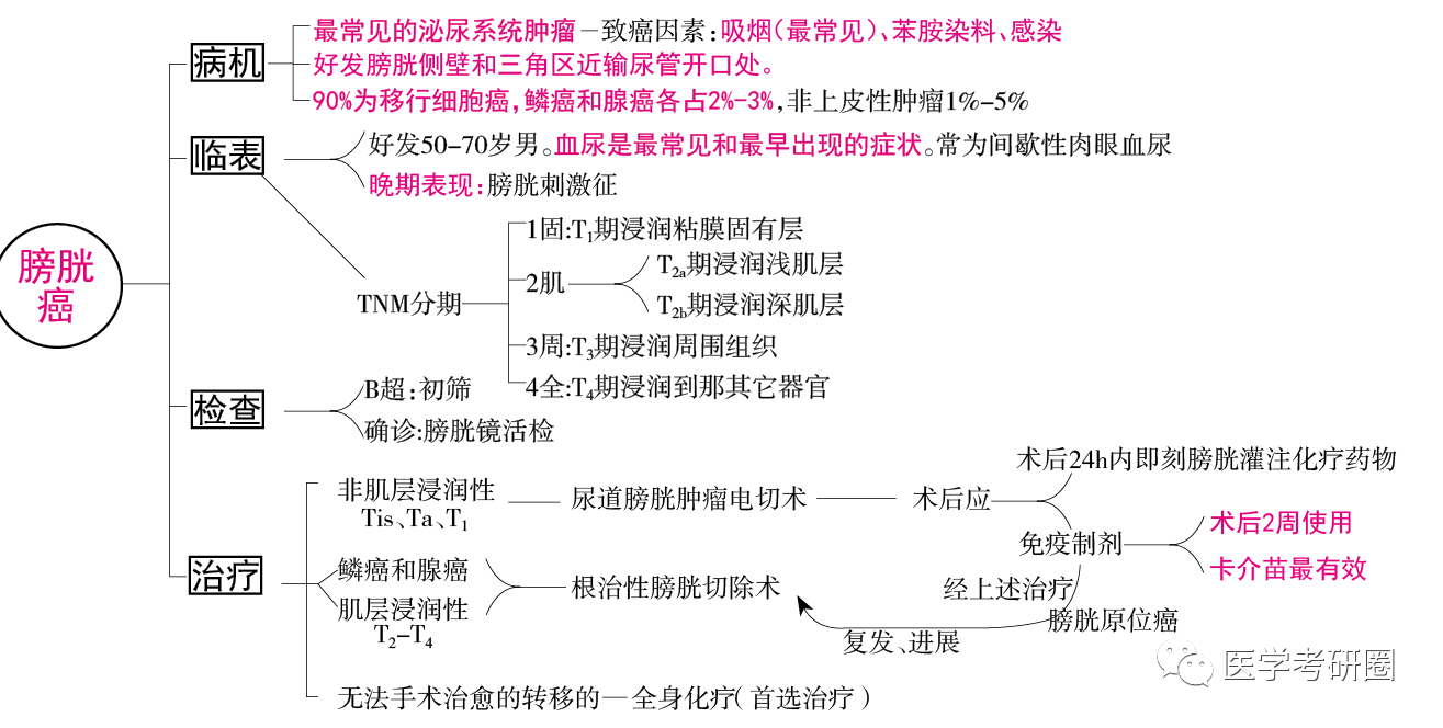 膀胱癌分期治疗泌尿系统思维导图