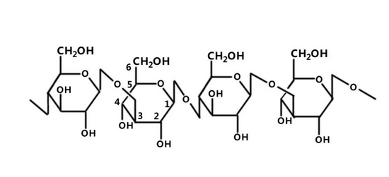 趣味知识酵母β葡聚糖是时候来一个漂亮的亮相了