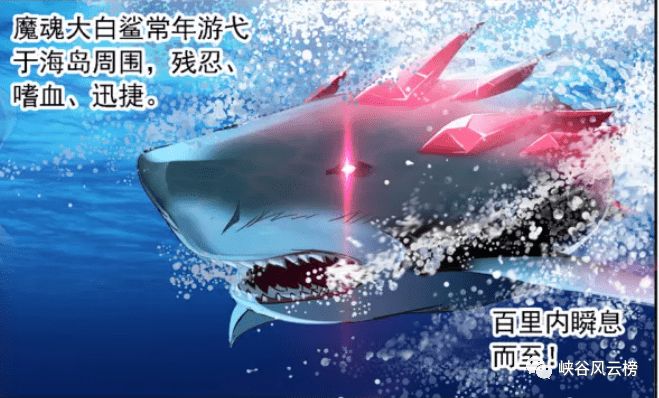 因为早在武魂殿出征海神岛的时候,武魂殿的舰队就是遭受到魔魂大白鲨