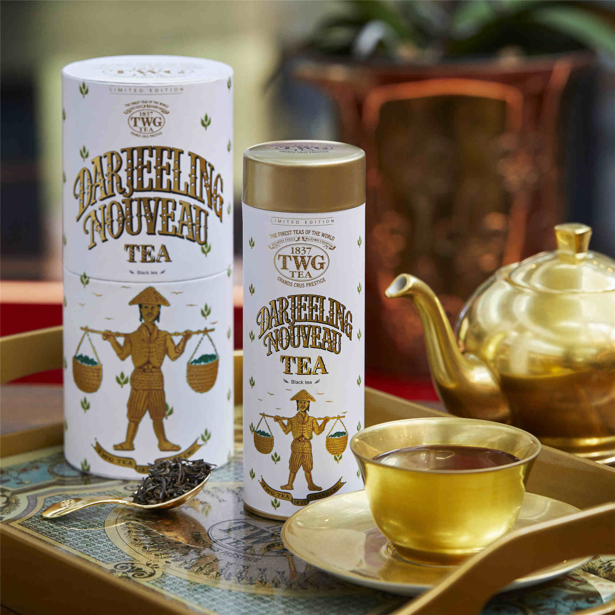 茶中香槟—品茗twg tea 2021 大吉岭佳酿茗茶