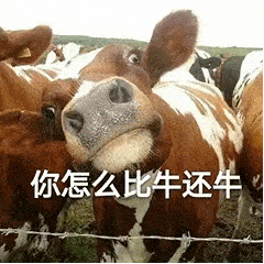 牛表情包动图图片