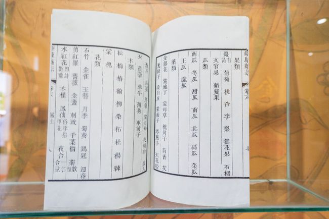 据清光绪版《巨鹿县志》"记载金银花为中 药材种植之首,自明代就有