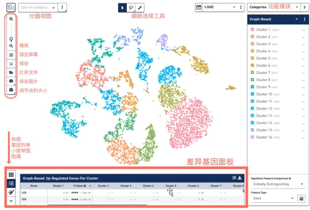 数据可视化利器——loupe browser操作宝典_Loupe
