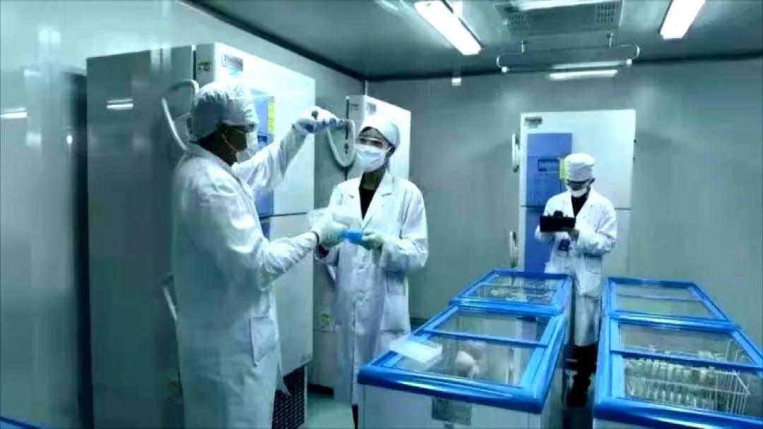 环境|来自大理！22株菌种搭乘神舟十二号，开启三个月的太空之旅！