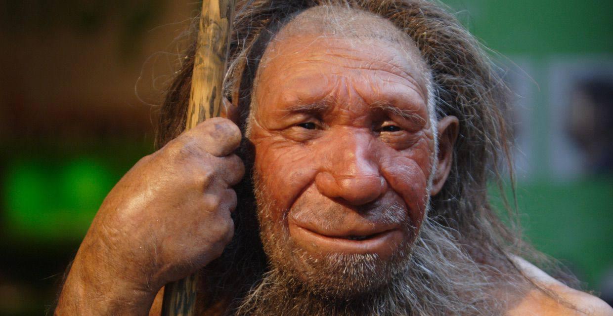 原创奇闻石器时代视力超群的尼安德特人造高效掷矛射程达110米