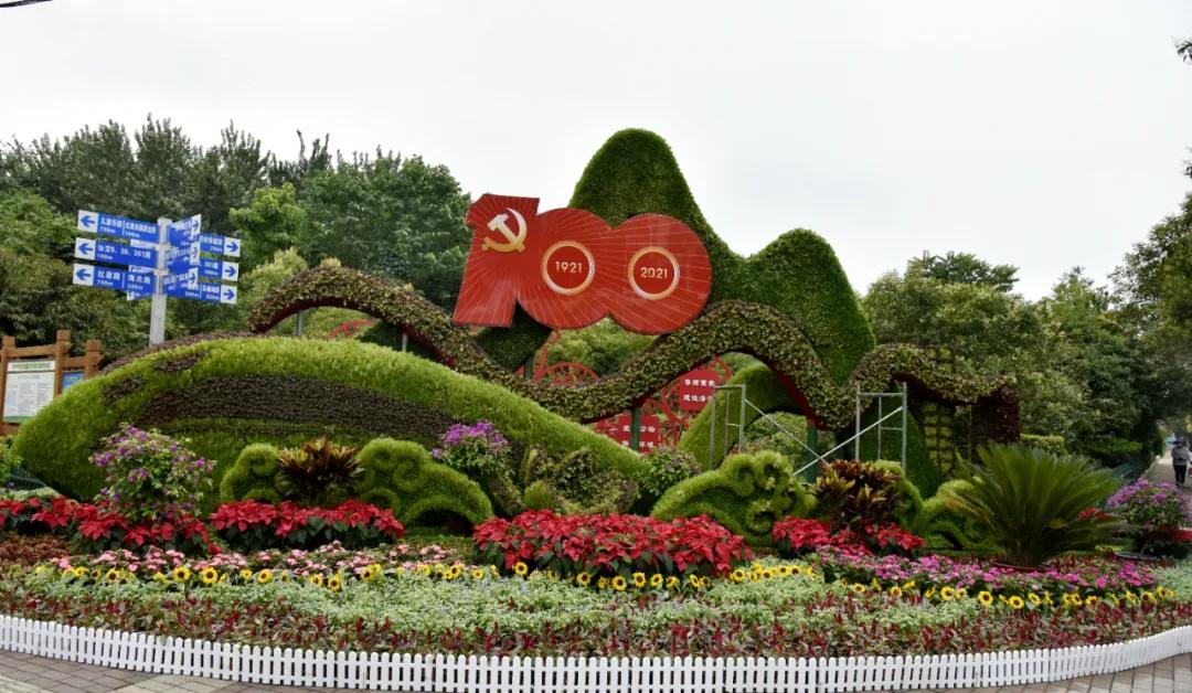 济宁市开展城区花境布置工作庆祝建党100周年_造型