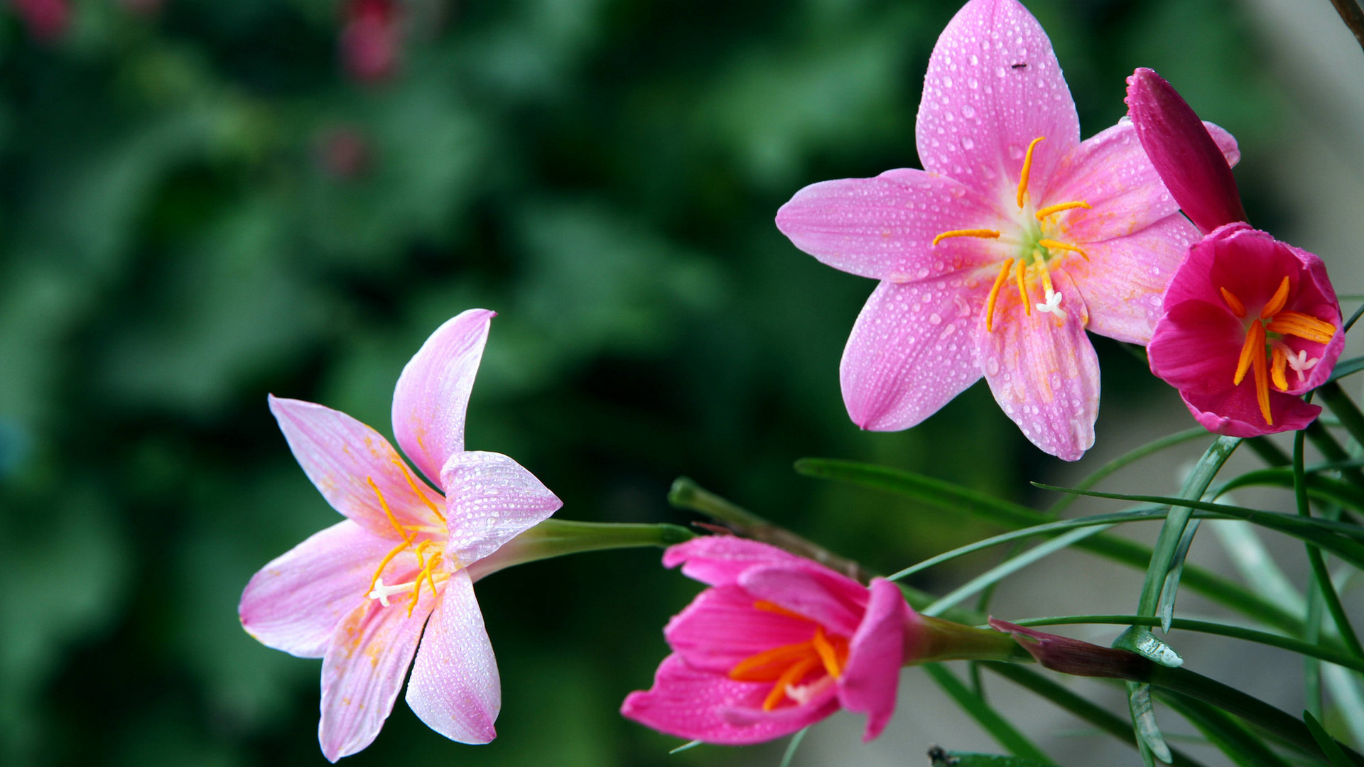 6月21日星座运势 趁热打铁 所向披靡的四大星座 生活