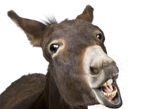 原创魏晋时期社会名流的特殊癖好学驴叫启功因为符合音律