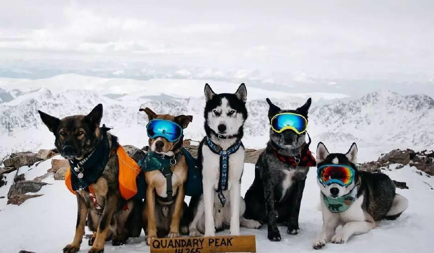 比特加 0ccde27d6d894d7dac4d845f184311a0.jpeg