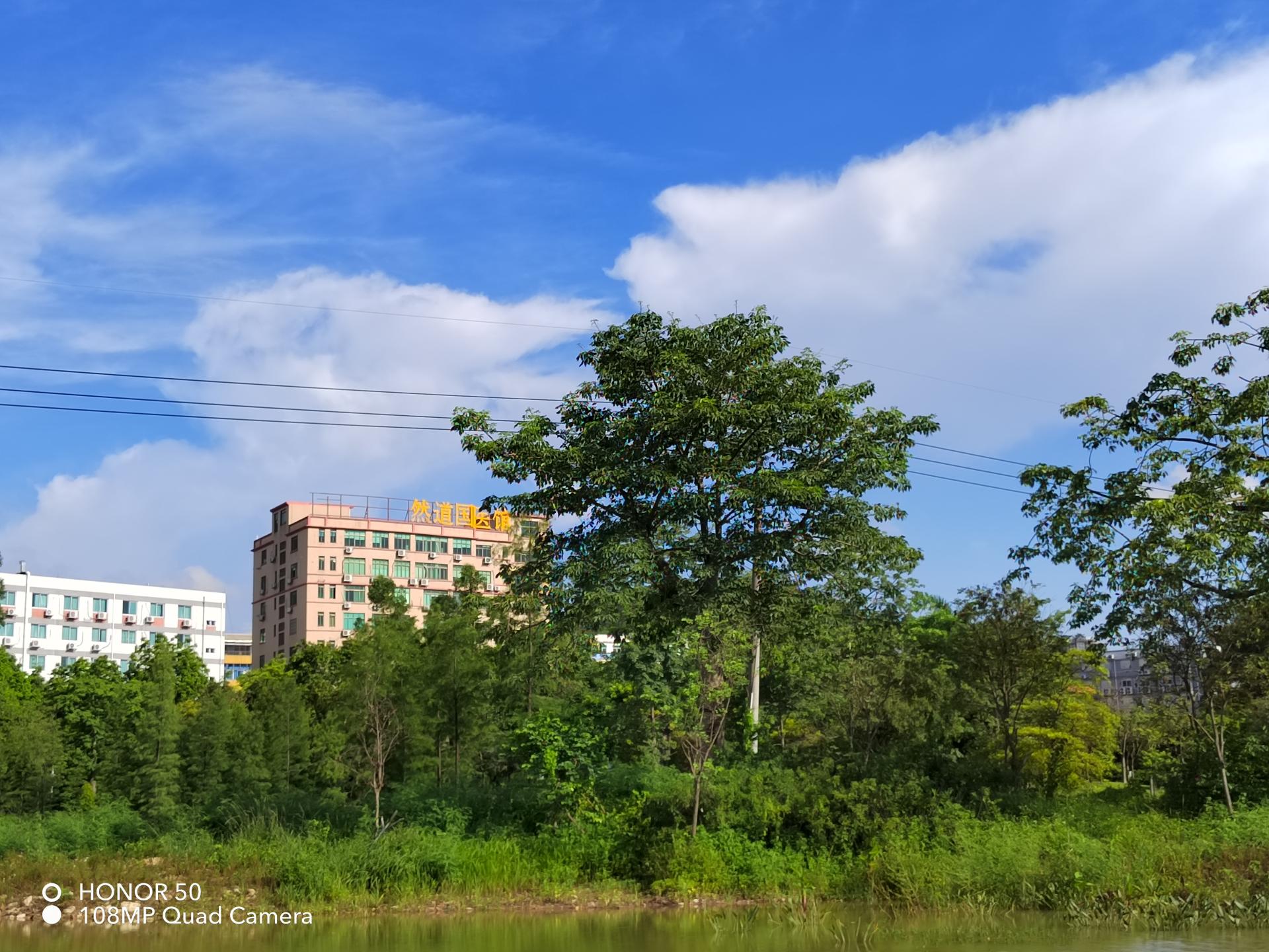 原创荣耀50上手体验一亿像素的轻旗舰打开vlog时代