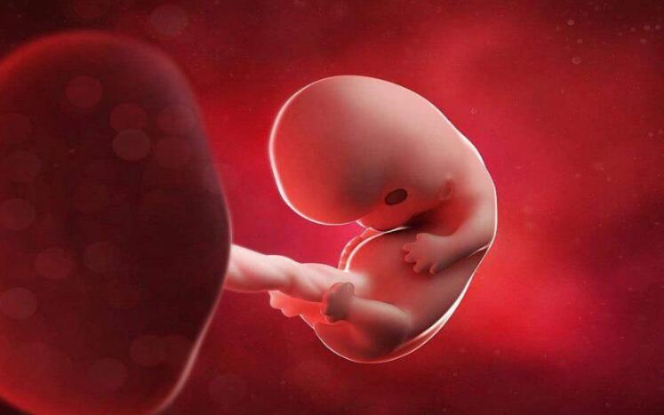 几个月胎儿能胎教了 47d18ff96c73483fafdc8e1c315b68cf.jpeg