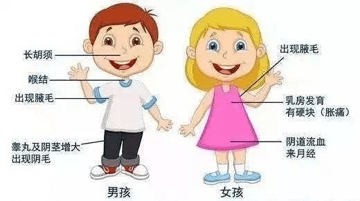 7ad7fab0dcf340e4b79ed4c12445371b.png