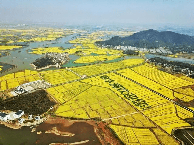 芜湖 人口_大事件 芜湖成功入选40年来全国 经济发展最成功的城市