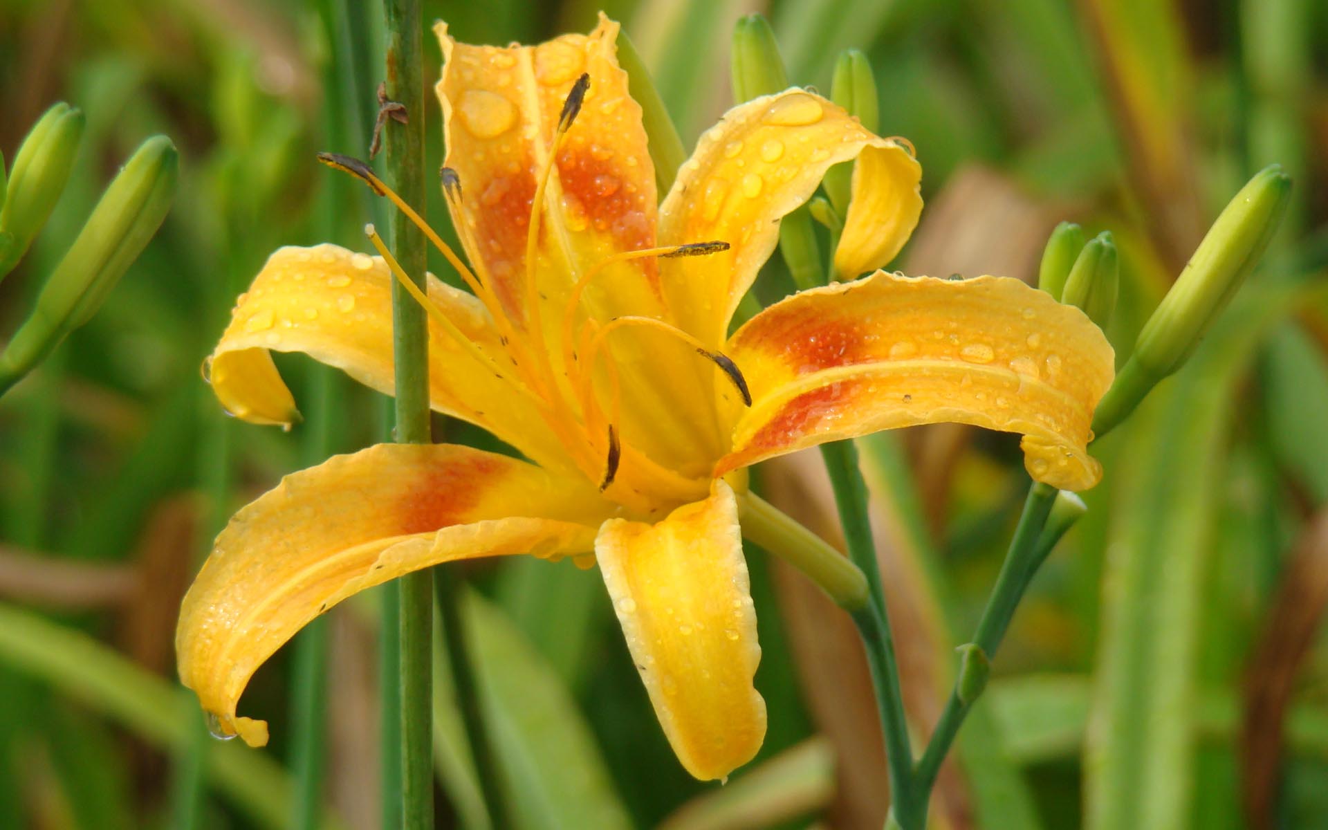 6月24日星座运势 大胆尝试 有勇有谋的四大星座 生活