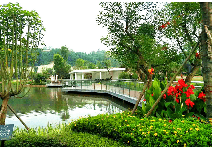 阆中山湖语以爱之名开启阆中智慧养老全新篇章