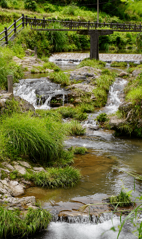 响,伴着清脆悦耳的鸟鸣声,循声而去,一条纵横交错的小溪从远山流淌来