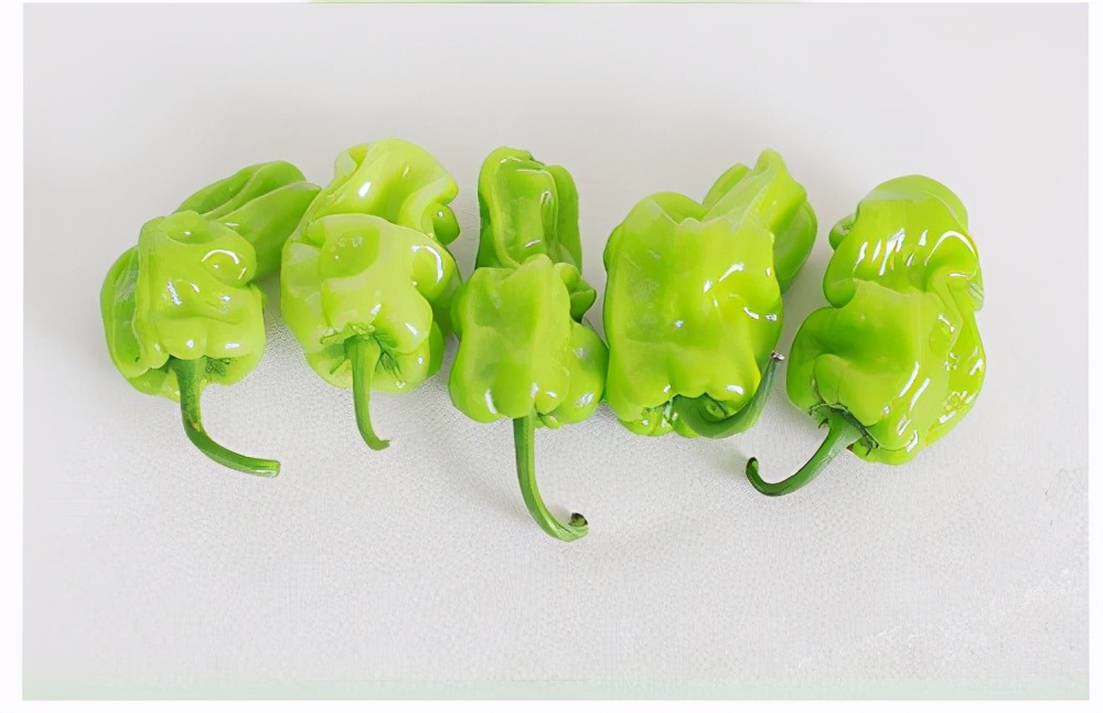 皺皮辣椒怎麼做好吃？ 熱愛美食 第6张