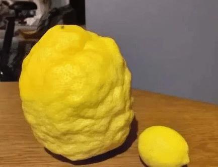 7c0d42c8b59848b091e608a27a6741b2.jpeg