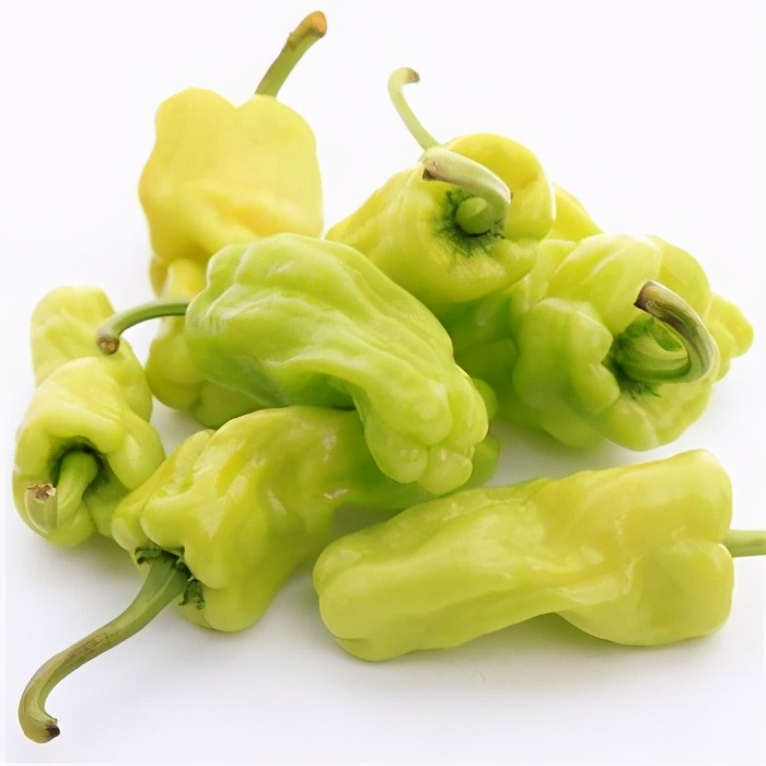 皺皮辣椒怎麼做好吃？ 熱愛美食 第5张
