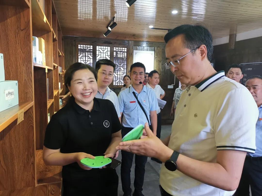 通江县委副书记县长谭青松调研金万博公司杜仲扶贫产业