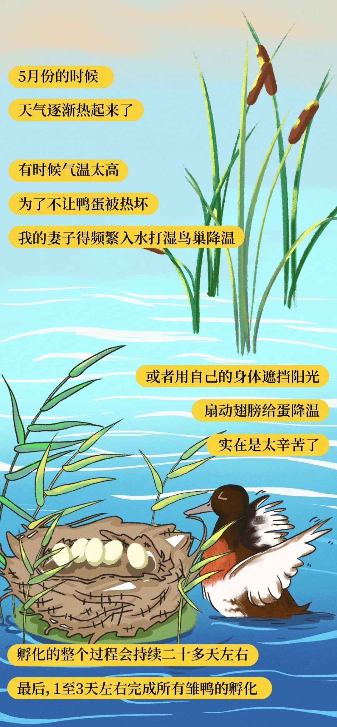 30b27116d317458ead2eb9d08a1de927.jpeg