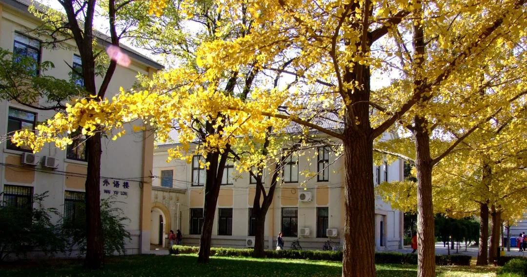 北京科技公司排名_北京科技大学(2)