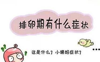 有这6大症状说明在排卵期 赶紧造人 有个症状特明显 别说没感觉 时候