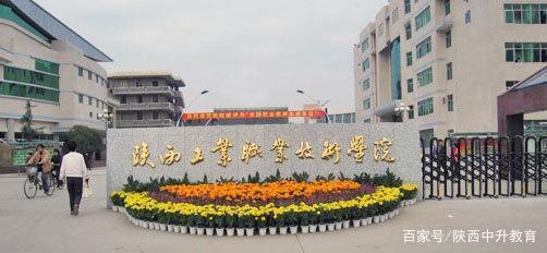 陕西大学排行_2021校友会中国大学专业排名发布!陕西科技大学2个专业挺进全国前十(2)