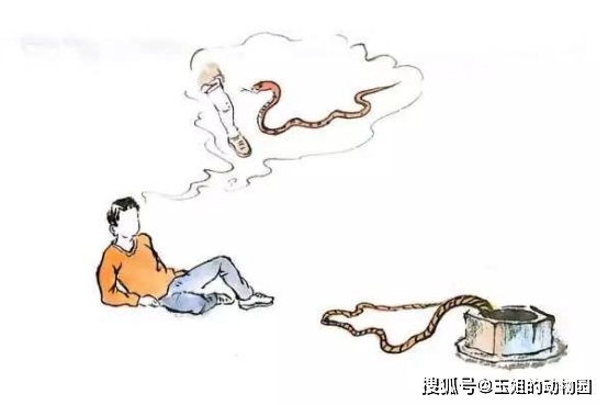 什么莫属的成语_成语故事简笔画(5)