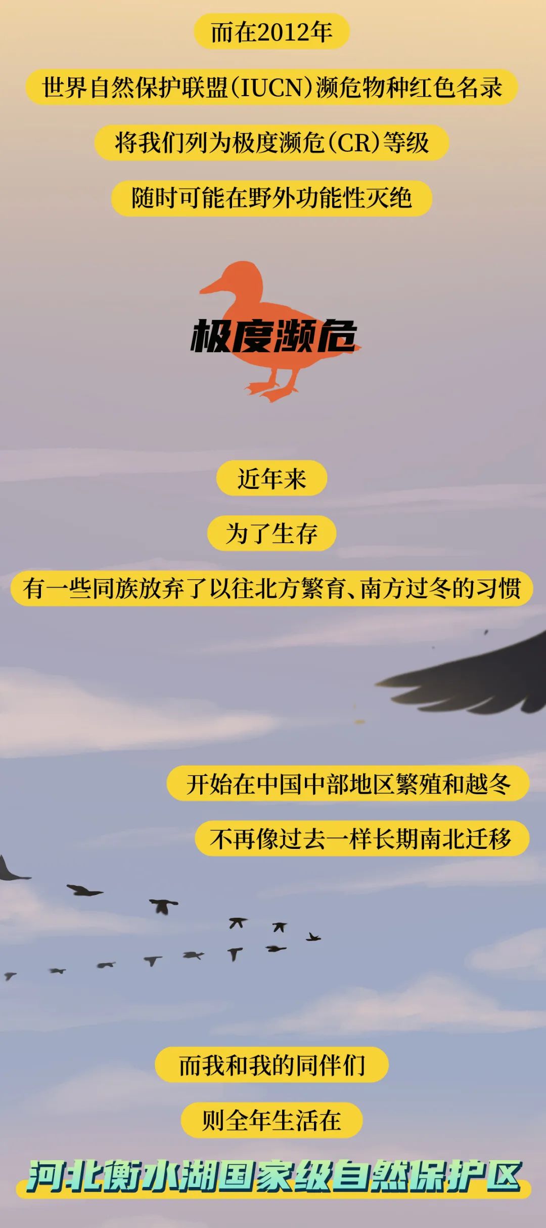 b8762f9b929047c6961d463c3a669a42.jpeg