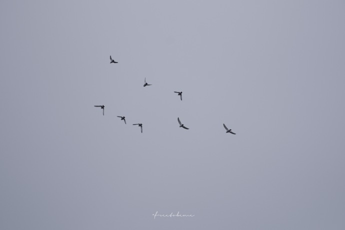 怎么让自己变成另外一个样子 daff7b3b94114aa9b5158065975e68b6.jpeg