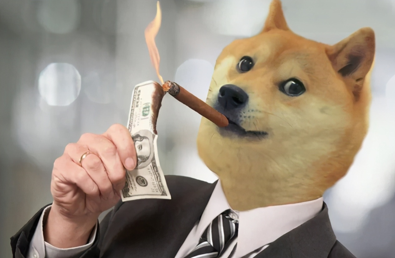 狗狗币市值达到500亿美元，笑话竟是我自己_搜狐网