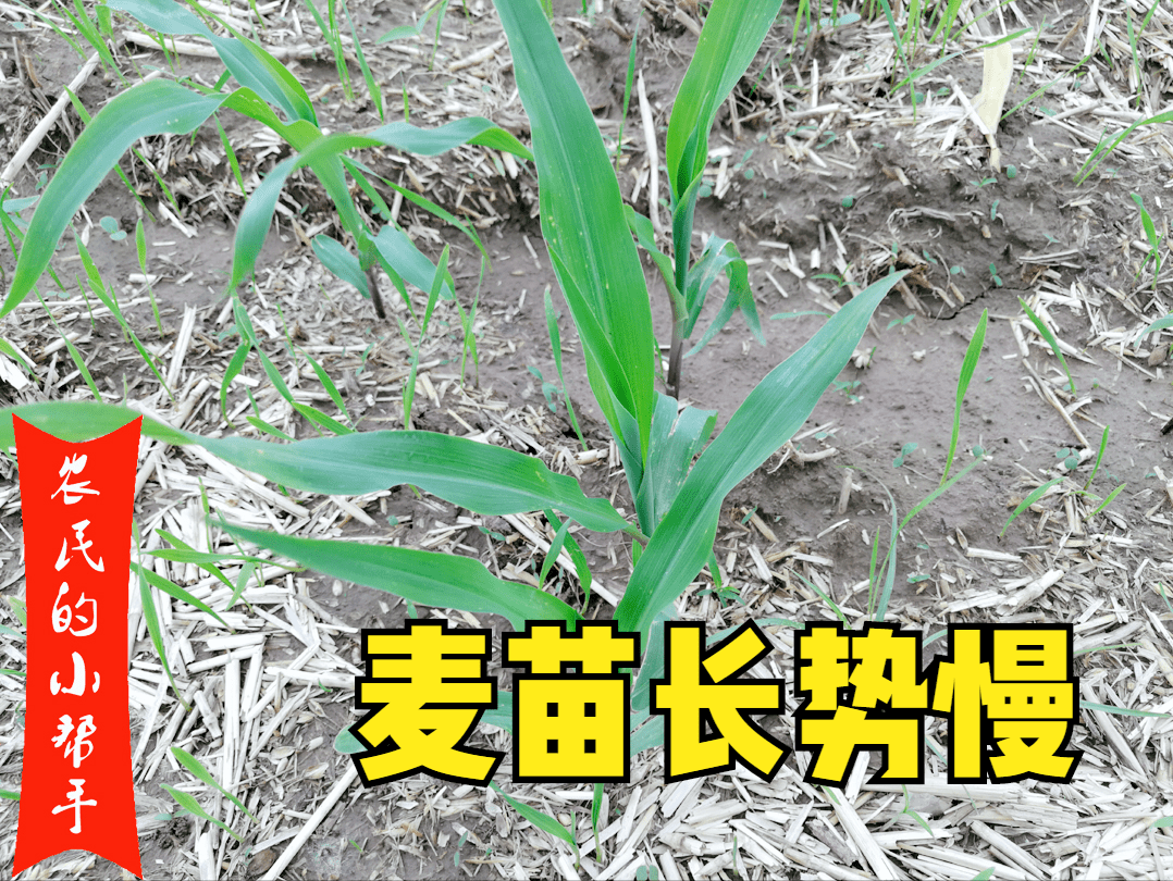 c881e9d8a2774d659979b7235b834ad7.png