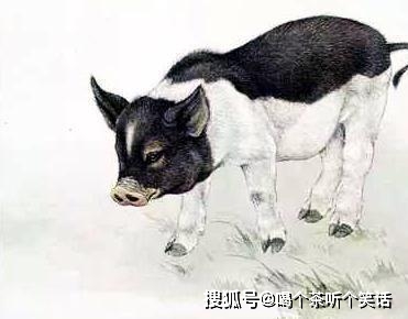 流年排行_2021年全国100强高中排行榜!排名第1和第2的高中,都有人不服!