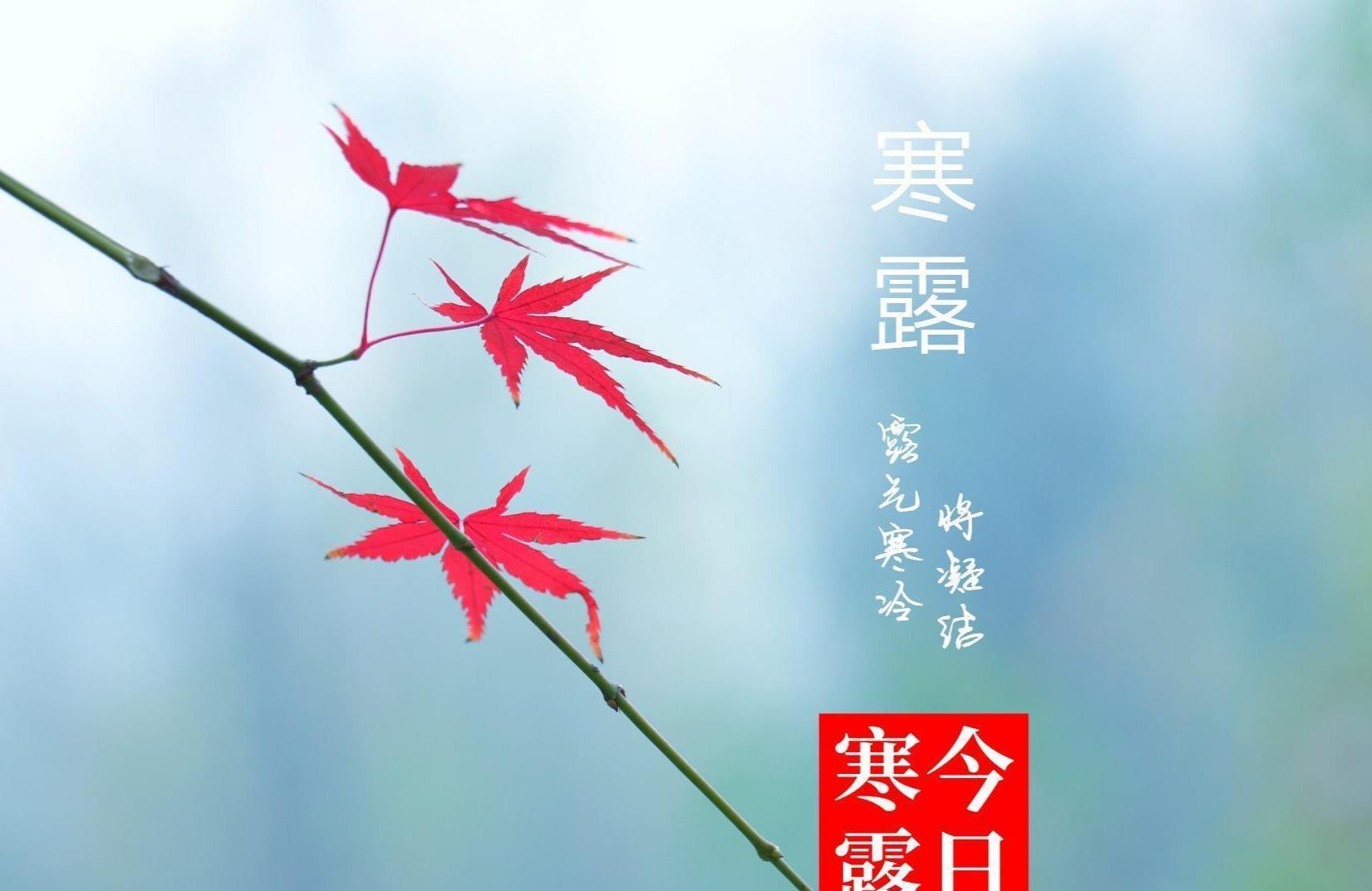 那些我写给你的情诗算不算爱的证据