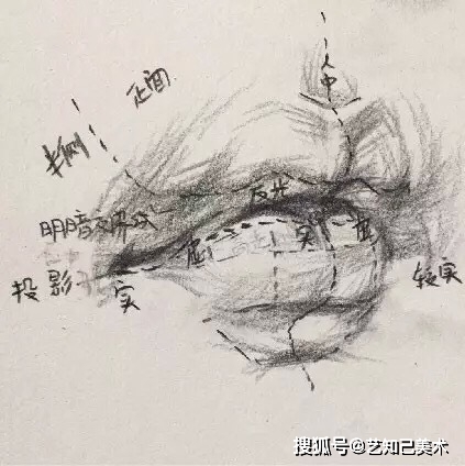 素描唇部如何画好 这些要点要记牢