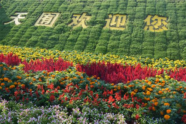 河南洛阳天囿牡丹园"多彩葵花 清凉一夏"游园活动启动_游客