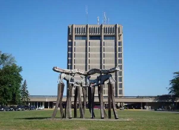 加拿大国王学院大学图片