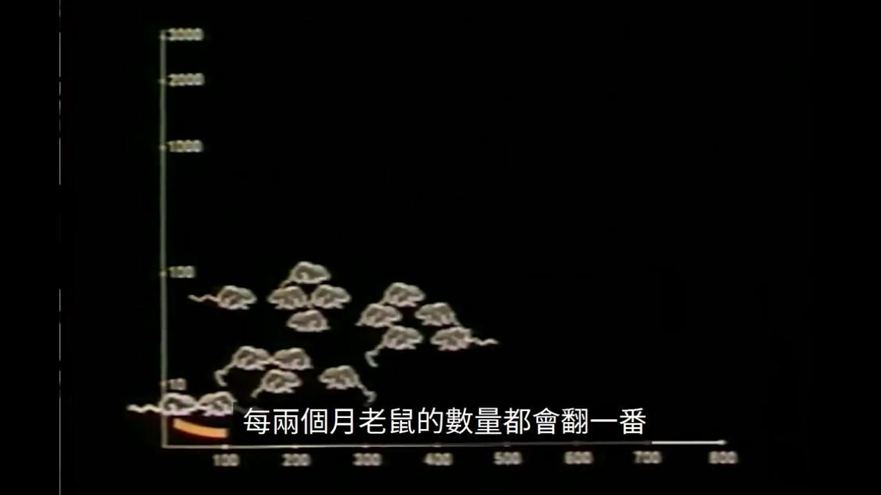 25号宇宙-用老鼠做了个模拟实验,来模拟人类的命运,结果震惊