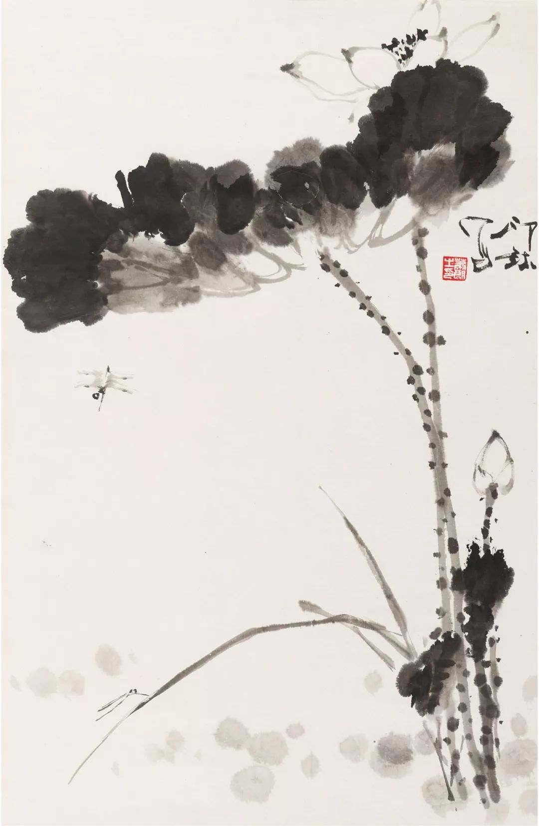 萧朗画荷,有别于大千之荷_荷花