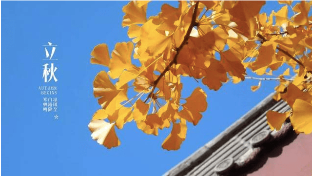 啥时候立秋2025年 1b0756ef48a64a1685e1fe91a0459001.png