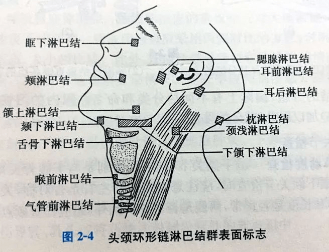 c07e7198d1c74657829ad65a3b426df2.png