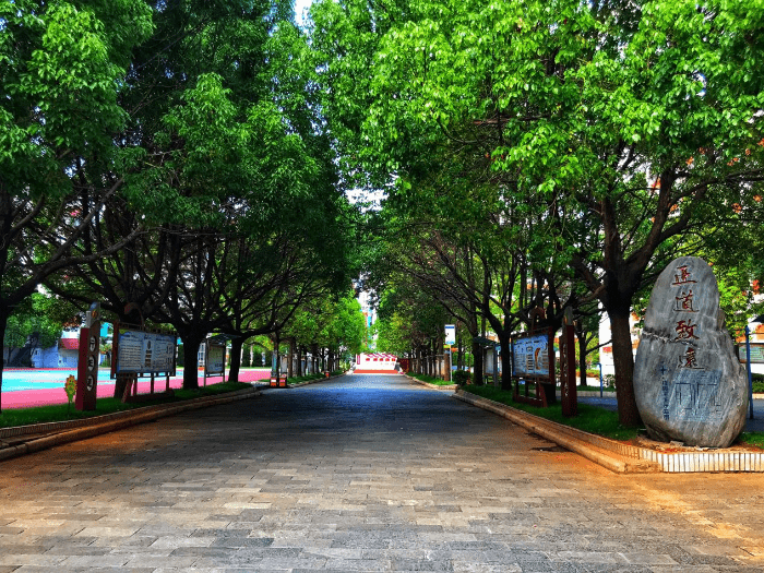 昆滇名高中云子中学名校传承高起点办学