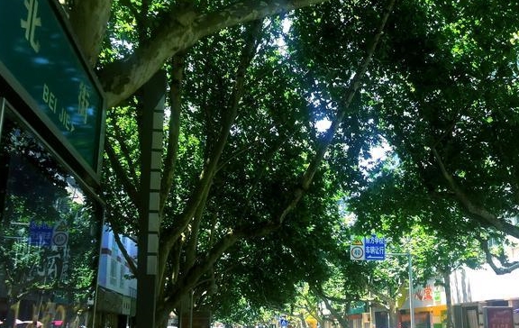 稀饭|广元最具人气的早餐，4元一大碗天天吃都不腻，还是10多年的老店